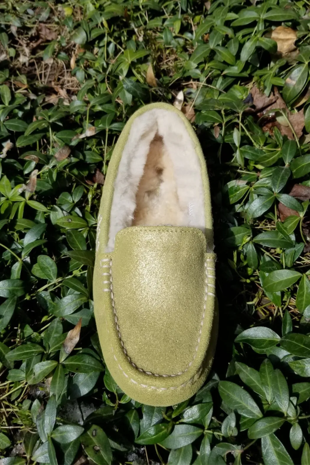 Ansley Slipper